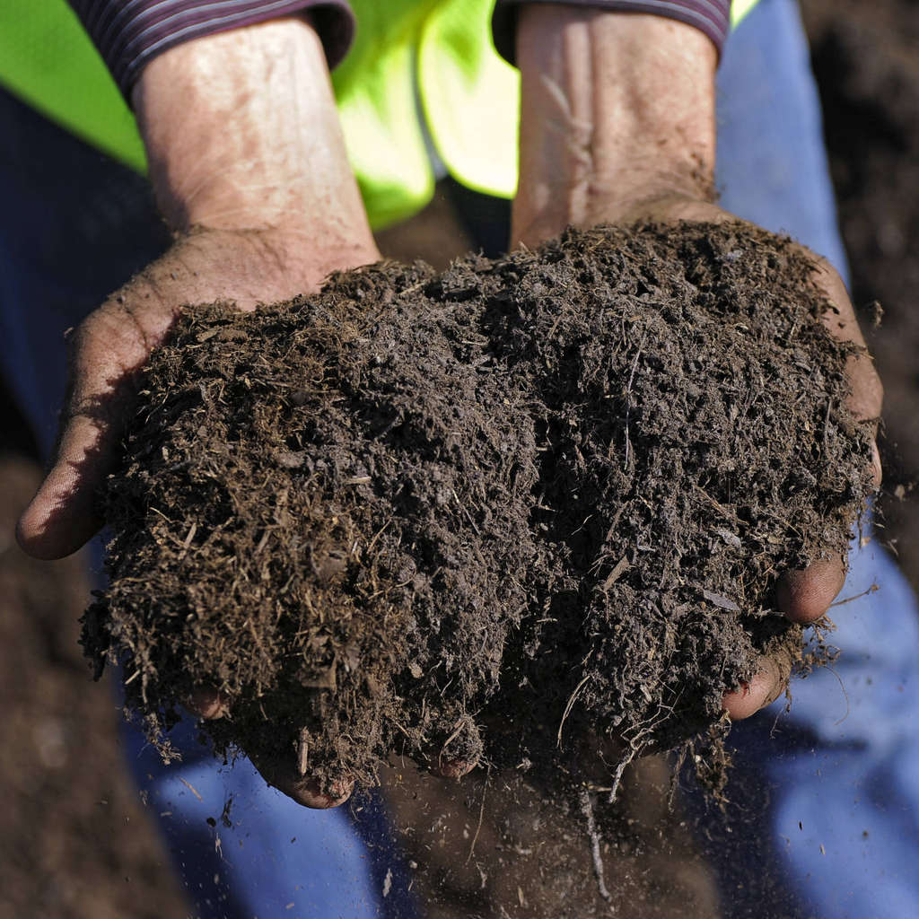 Fresh soil held in two hands. A stock photo. Village Compost Limited - Compost Collection & More - London, Ontario