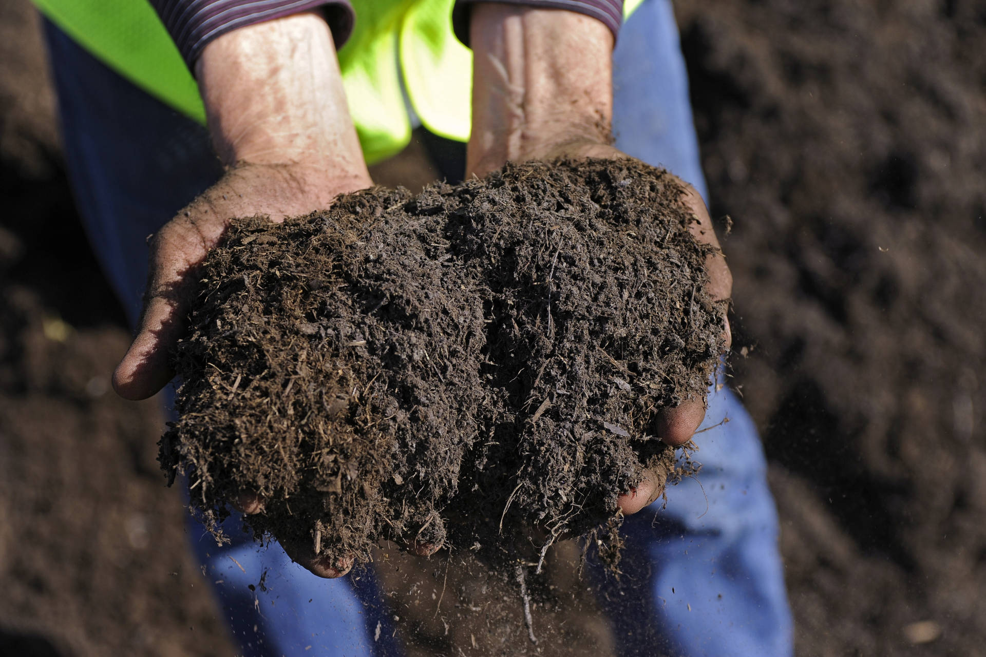 Fresh soil held in two hands. A stock photo. Village Compost Limited - Compost Collection & More - London, Ontario