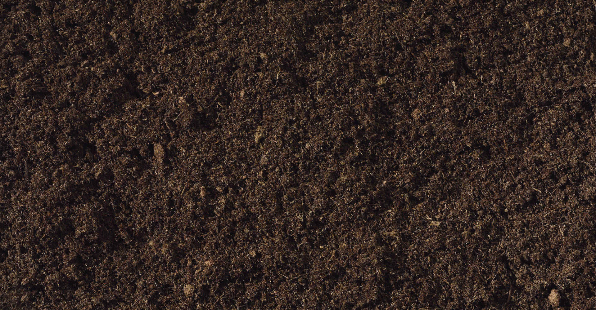 Brown rich compost or soil.